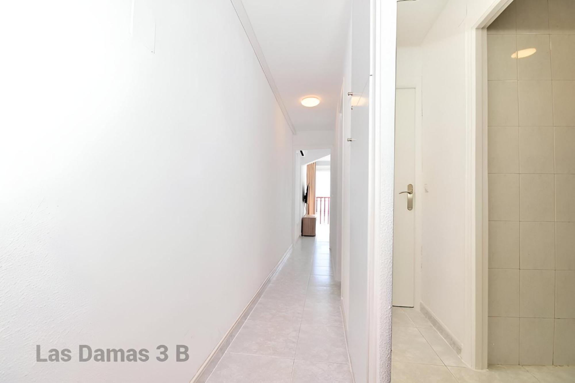 Las Damas 3B Beach Front - Pool & Parking 貝尼多姆 外观 照片