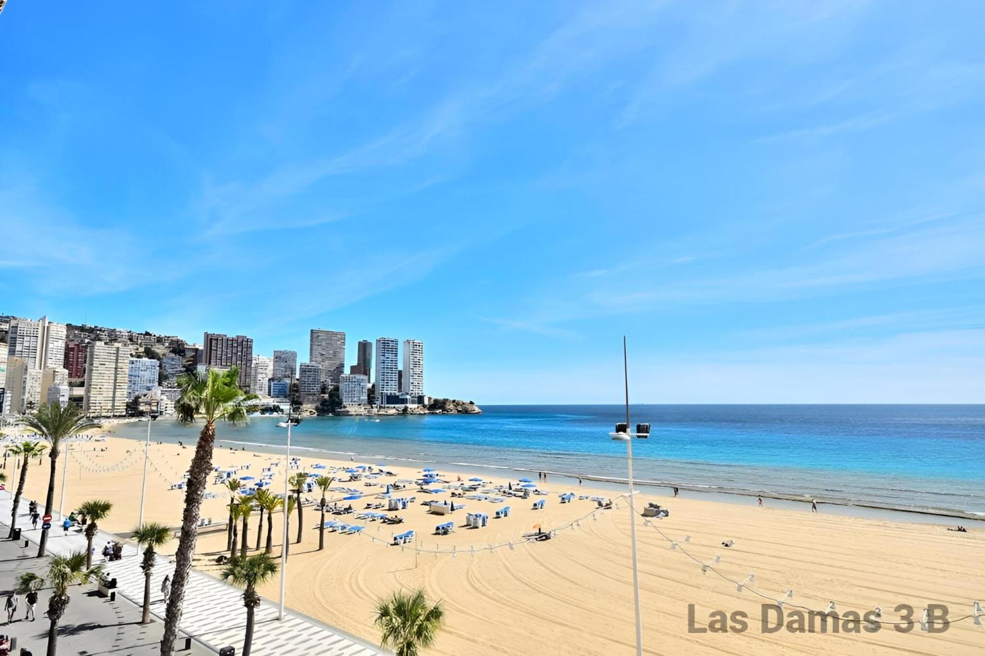Las Damas 3B Beach Front - Pool & Parking 貝尼多姆 外观 照片
